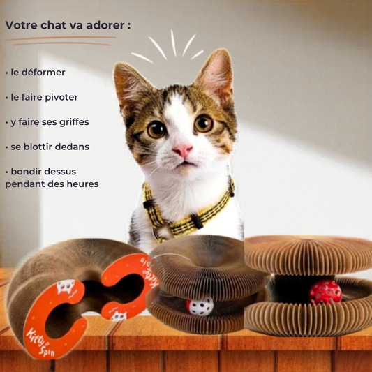 🐾 Calyx™ | Le jouet qui rend votre chat accro !